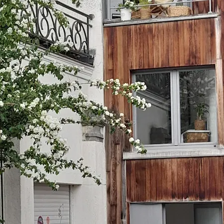 Smiling Fox * Leuven