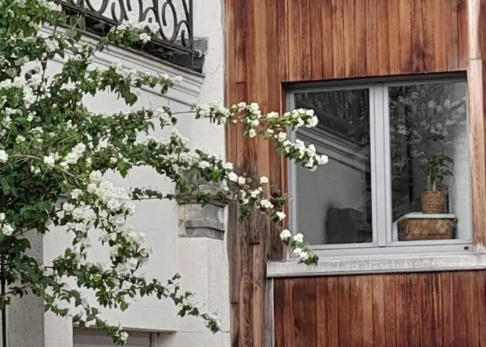 Smiling Fox * Leuven